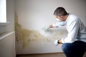 Best Attic Mold Removal  in Clarion, PA